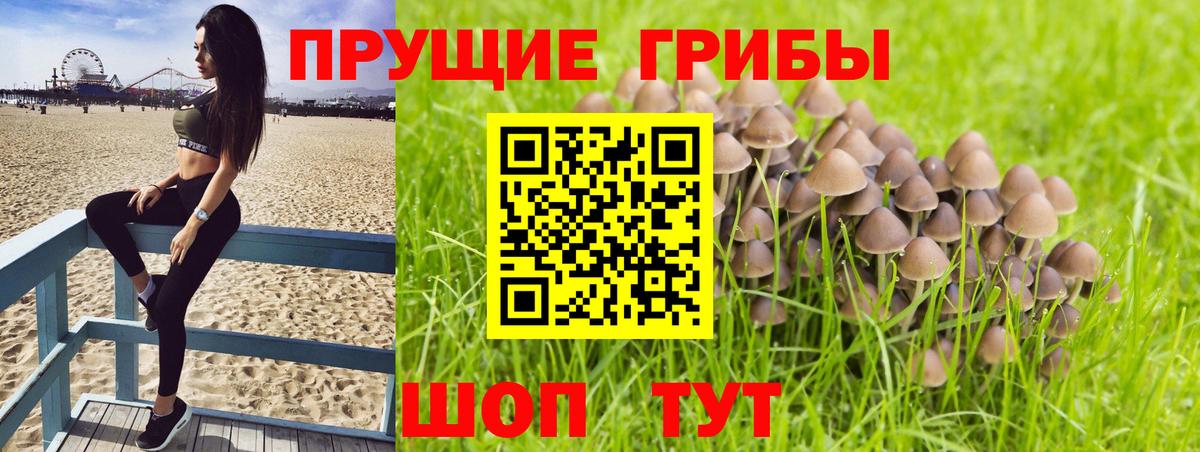 Псилоцибиновые грибы ЛСД Ливны