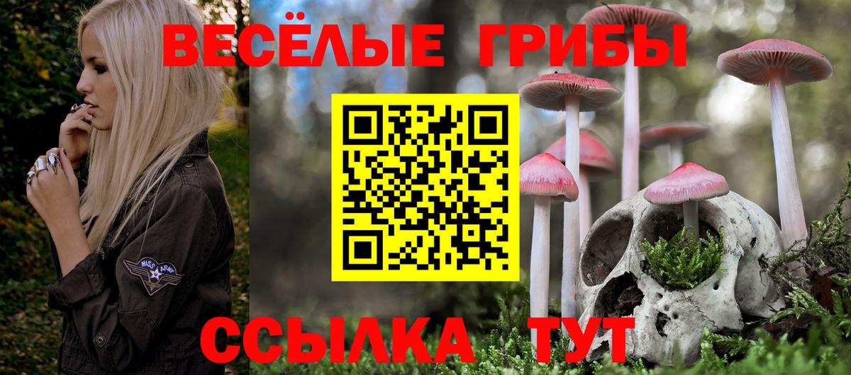 Псилоцибиновые грибы прущие грибы  Вход с VPN  магазин    Ливны 